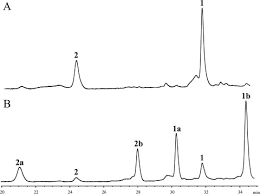 Image result for Bothriocline longipes