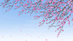 Check spelling or type a new query. Video Background Full Hd Japanese Spring Youtube