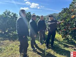 集团新闻重庆市农产品（集团）有限公司