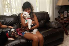 Low cost in home pet euthanasia near me. In Home Euthanasia Lap Of Love