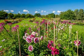 See reviews and photos of gardens in magdeburg, germany on tripadvisor. Gartenschau In Magdeburg Blumenpracht Im Elbauenpark Elbauenpark Magdeburg