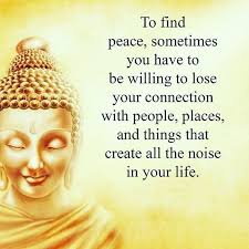 150 life quotes, 101 buddha quotes, 101 funny quotes, and 150 good night quotes. 100 Inspirational Buddha Quotes And Sayings That Will Enlighten You Littlenivi Com