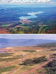 Image result for Ondo Blue 1990 Tracer