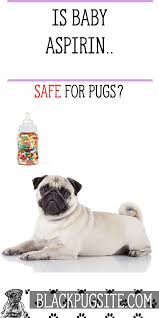 Can I Give My Pug Baby Aspirin Read This Before Giving Your Pet Over The Counter Medication Pugs Pug Facts Pug Puppies