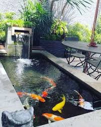 Jasa Tukang Kolam Ikan Koi Hubungi 0838 1960 2523 Www Suryataman Com Melayani Pembuatan Kolam Ikan Koi Kolam Minimalis Relief Teb Di 2020 Kolam Ikan Desain Kolam