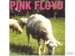 Sheep Ringtone Download Free Pink Floyd Mp3 And Iphone M4r World Base Of Ringtones
