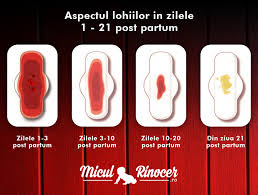 Faptul ca au aparut si dureri arata ca ai o anexita sau cel putin un sindrom inflamator pelvian, din am auzit de chestia cu menstruatie peste sarcină, dar sunt sigura ca nu sunt insarcinata pentru ca nici simptome nu am. Totul Despre Lohii Sfatul Miculrinocer Ro