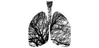 Prima etapa de vindecare a unui tatuaj de obicei, dureaza aproximativ o saptamana, atata timp cat nu apare o infectie. Apa La Plamani Pleurezia Ce Boli Poate Ascunde Cancer360
