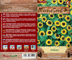 Image result for foto Vitálka