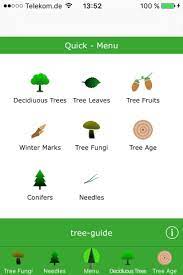 Wood identification helps in providing quick and. Identify Trees With Our Apps Tree App