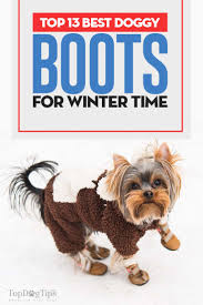 Veterinarians and dog experts support the idea of dogs wearing dog snow boots during the winter months to protect from cold, rain, snow, and nasty chemicals on the roads. 13 Best Dog Boots For Winter That Won T Fall Off Your Dog S Paws