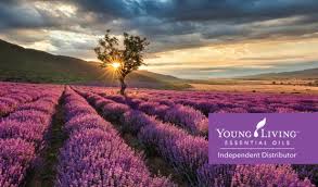 With 83 blends oils to choose from, young living have made it easier to showcase the amazing benefits of essential oils. 15 Amazing Young Living Business Cards Free Shipping Tank Prints