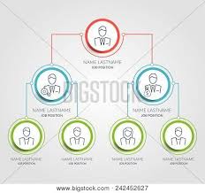 Business Hierarchy Vector Photo Free Trial Bigstock