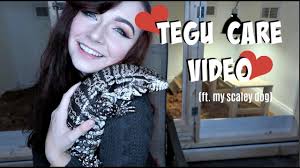 Argentine Black And White Tegu Care Video Baby Adult Youtube Clint discusses some of the coolest facts about.