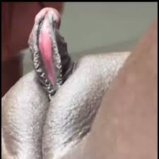 @jadamollyclits video Tweet