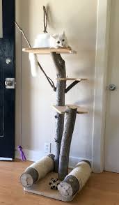 Cleanliness of the litter box: Free Cat Tree Plans Cool Cat Tree Plans Cat Tree Plans Diy Cat Tree Cat Tree