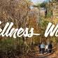 Wellness Walk event image