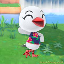 Animal Crossing World On Twitter Happy Birthday To Piper Acnh