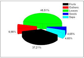 Image result for Anisophyllea quangensis