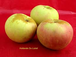 Hollande Du Loiret Une Pomme Du Val De Loire Val De Loire Loiret Pomme