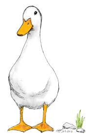 Duck Watercolor Duck Art Watercolor Bird Animal Art