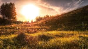 Find & download free graphic resources for sunshine background. Sunshine Wallpaper Posted By Ryan Cunningham