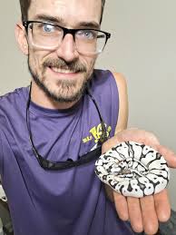 New Axanthic Ball Pythons