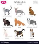 Longhair Cat Breeds | Britannica