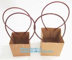 Wine Packing Kraft Paper Bag With Twist Handle Eco Friendly Cmyk Gold Color Custom Printing Paper Wine Gift Bag Bagease For Sale Eco Retail Packaging Manufacturer From China 109342377