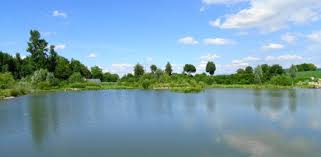 See Im Park Photo De Kurpark Bad Krozingen Tripadvisor