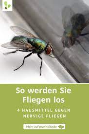 Und was hilft gegen fliegen in der wohnung? 4 Hausmittel Gegen Fliegen Naturlich Und Effektiv Hausmittel Gegen Fliegen Hausmittel Fliegen