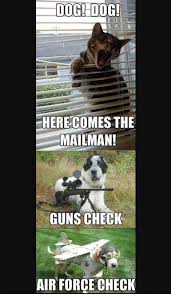 Dog Memes Home Facebook