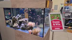 Check spelling or type a new query. Marine Aquarium Saltwater Fish Reef Keepers In Dubai Abu Dhabi Uae Facebook