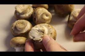 Weisen diese einen tranigen, fischigen oder süßlichen geruch auf, sind sie verdorben und nicht zum verzehr geeignet. Video Wann Sind Champignons Schlecht