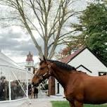 2027 Kentucky Derby Soiree