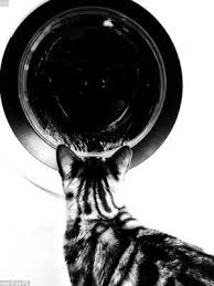 Tuff coat paint and body shop. Restore Coat Flex Paint On Glidleistatig Treterrazzi It