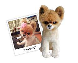 Cuddle Clones Will Make A Stuffed Version Of Your Pet So Do With This Information What You Will Photos Custom Stuffed Animal Your Pet Plush Dog