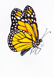 Garden Illustrations Butterfly Garden Artfully Creative Life In 2020 Butterfly Art Painting Butterfly Watercolor Butterfly Illustration