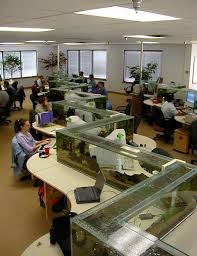 Cool Office Design Sharenator Amazing Aquariums Aquarium Design Cool Office Space