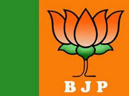 The organisation of the bjp is strictly hierarchical. Bjp Likely To Release First List Of Candidates For Upcoming Assembly Polls In First Week Of March