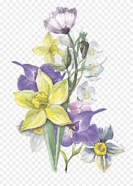 Purple tulip frame flowers watercolor png. Yellow Purple Flower Cluster Transparent Decorative Watercolor Painting Hd Png Download 1024x1441 430663 Pngfind