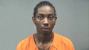 Report: Suspect found hiding in trash can after police chase, crashing into  Youngstown houses