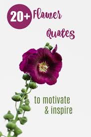 A flower does not think of competing with the flower next to it. Inspirational Flower Quotes Motivational Sayings With Photos Of Flowers