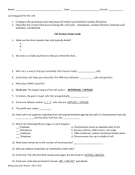 During mitosis, homologous chromosomes behave independently. Mitosis And Meiosis Review