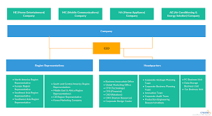 A Organizational Chart Showing Organizational Chart Of Lg