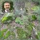Madeline Mosses — Amphibians of the Plant Communities