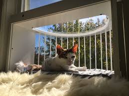 These are usually inexpensive and great in tiny spaces. Cat Window Box Cat Solarium The Cat Window Box Catio Cat Balcony