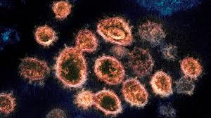 The delta coronavirus variant doubles the risk of hospitalisation compared with the previously dominant variant in britain, but two doses of vaccine still provide strong protection, a scottish study. Delta Variant Growing In Alberta As Experts Warn Of Looming 4th Wave Ctv News