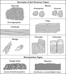 Ssm Ch 3 Examination And Description Of Soil Profiles