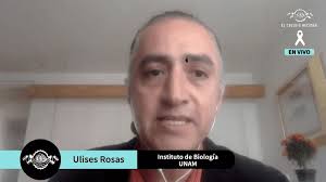 La herramientas genómicas de arabidopsis permiten entender la variación  natural y la raíz de las plantas: Ulises Rosas